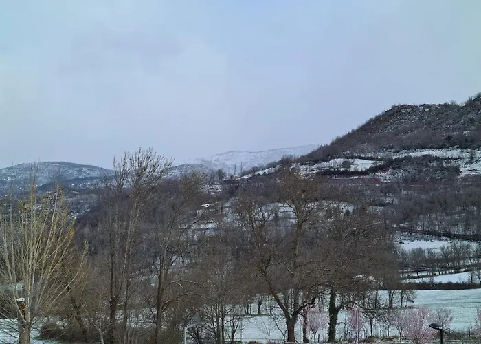 Inmocyma Almendros Castejón de Sos
